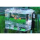 Dophin External Breeding Box