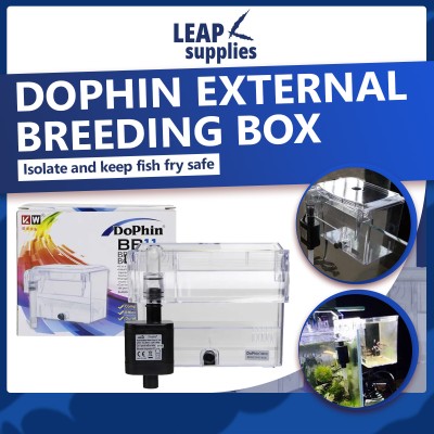 Dophin External Breeding Box